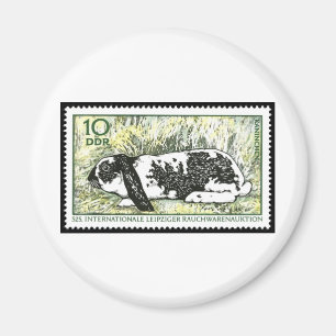 Imã Veja o salto do ponto