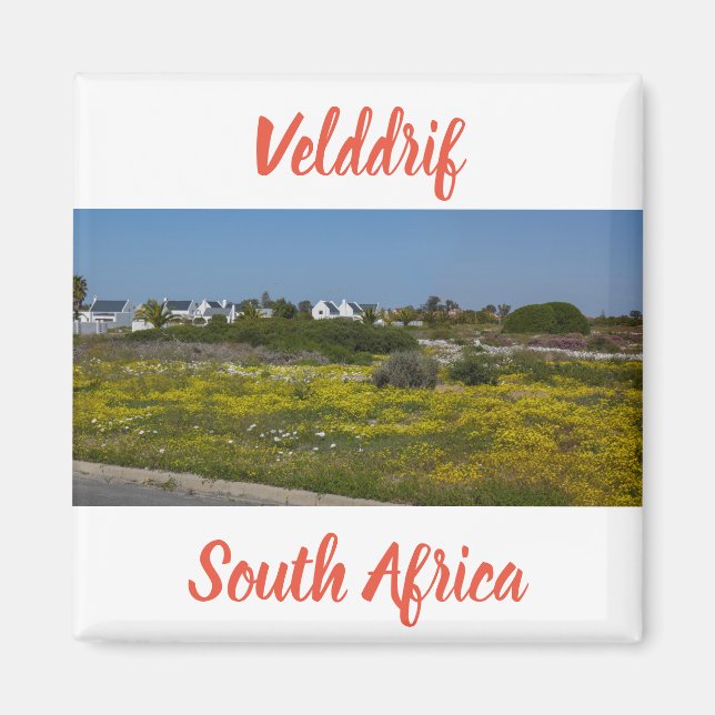Imã Velddrif West Coast Wild Flowers South Africa SA (Frente)
