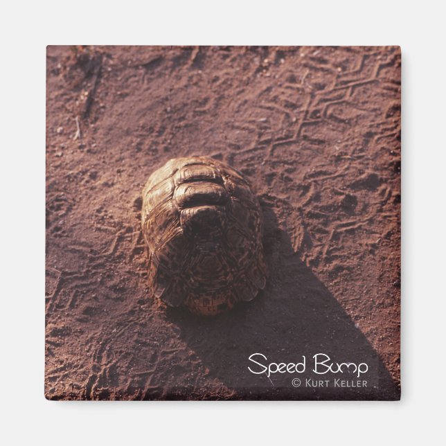 Imã Velocidade (Frente)