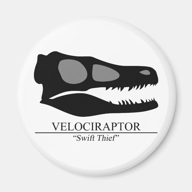 Imã Velociraptor Skull (Frente)