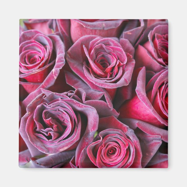 Imã Velvet Beauty (Frente)