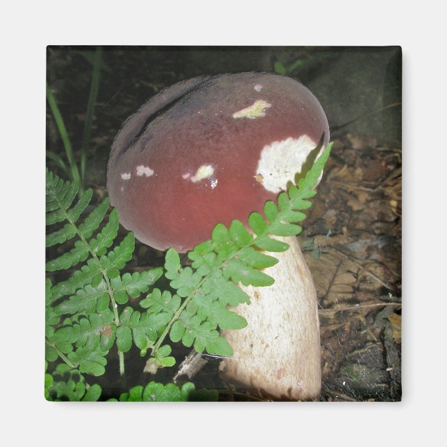 Imã Velvet Mushroom Magnet (Frente)