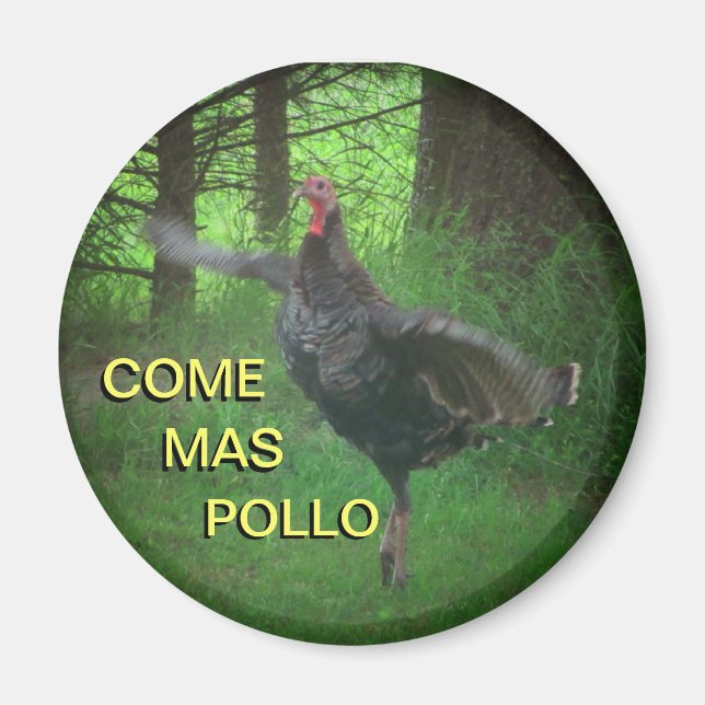 Imã Venha Mas Pollo Engraçado Memória Turquia (Frente)