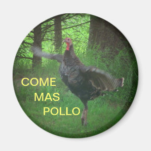 Imã Venha Mas Pollo Engraçado Turquia