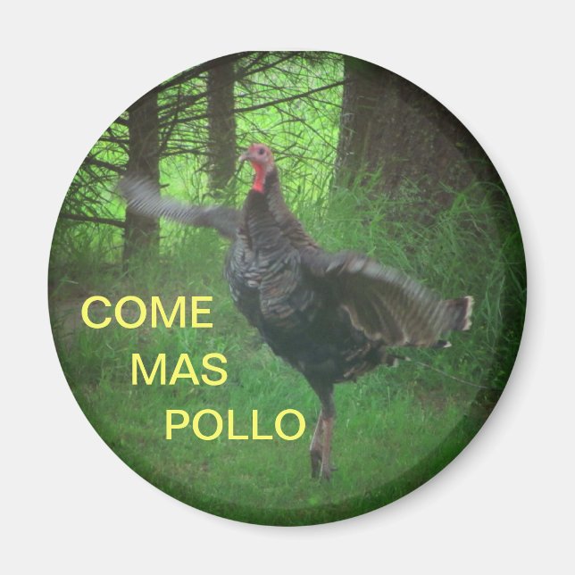 Imã Venha Mas Pollo Engraçado Turquia (Frente)