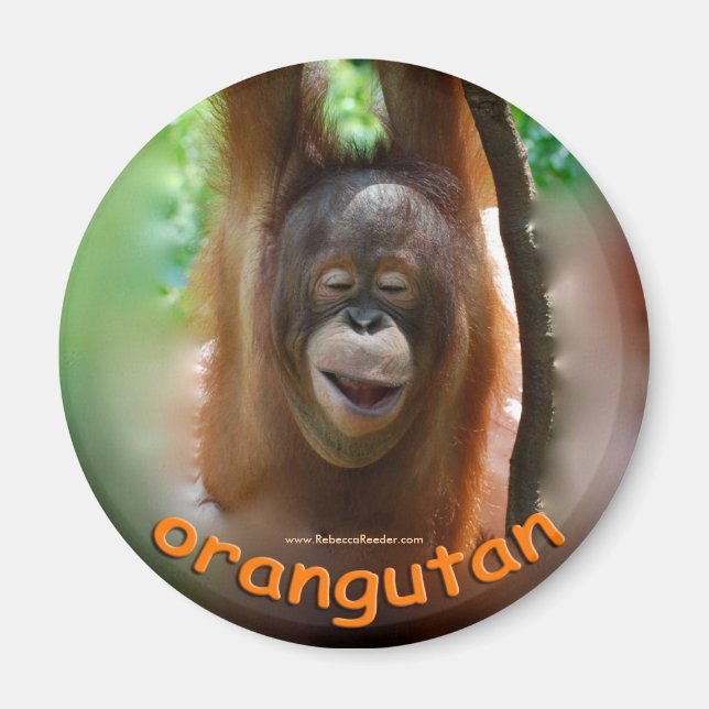 Imã Ventilador Oficial Orangutan (Frente)