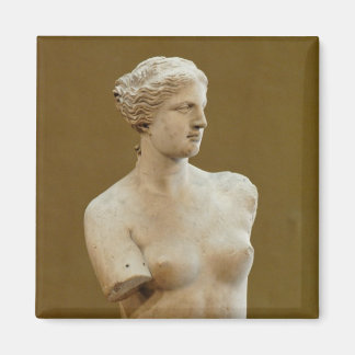 Imã Venus de Milo