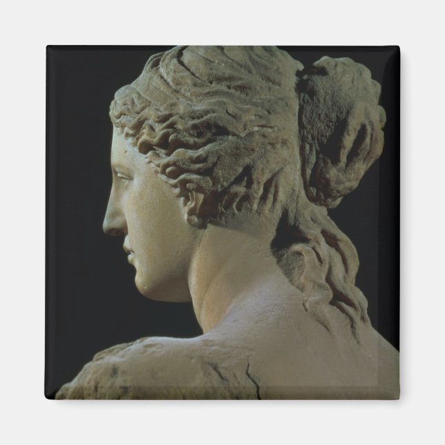 Imã Vênus de Milo, detalhe da parte de trás da cabeça, (Frente)