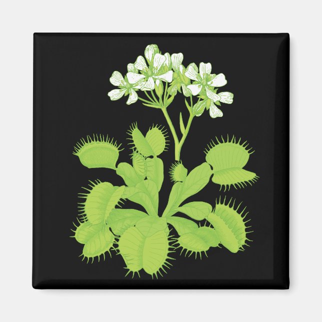 Imã Venus Flytrap Magnet (Frente)