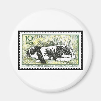 Imã Ver Salto à vista