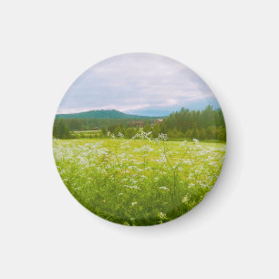Imã Verão em Hälsingland - Helsingia