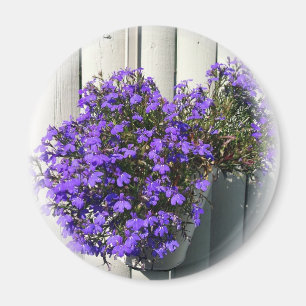 Imã Verbena Magnet