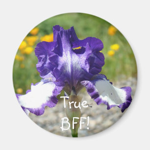 Imã Verdadeiro BFF! ímã presentes Flor de Íris Roxa ím