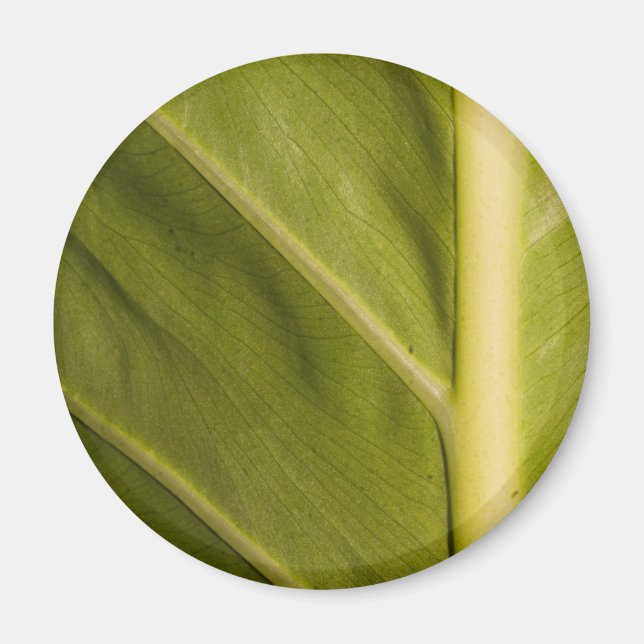 Imã Verde 01 (Frente)