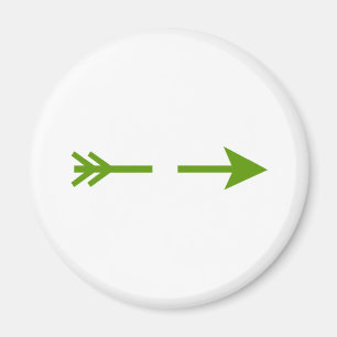 Imã Verde De Seta Quebrou Os Presentes Do Zazzle MUSEU