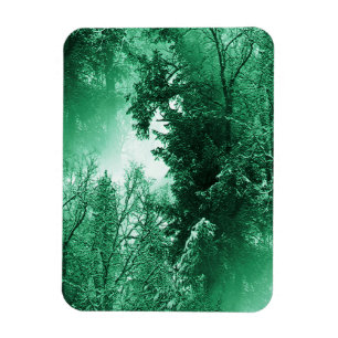 Ímã Verde do inverno…