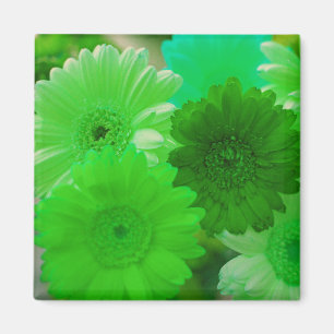 Imã Verde Gerbera Daisy Flowers Refrigerator Magnets