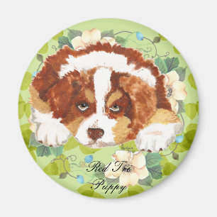 Imã Verde vermelho do ~ do filhote de cachorro do