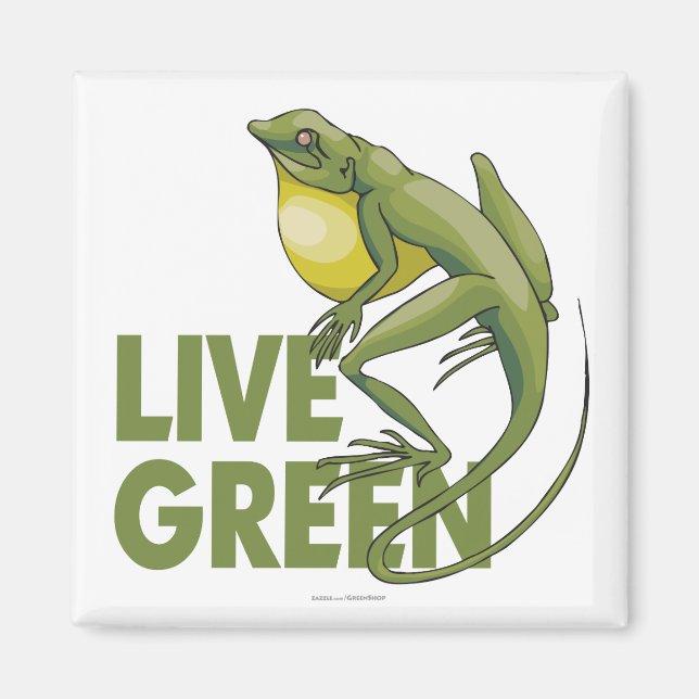 Imã Verde vivo (Frente)