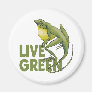 Imã Verde vivo