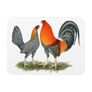 Ímã Vermelho azul Gamefowl