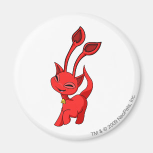 Imã Vermelho de Aisha