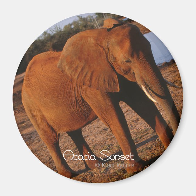 Imã Vermelho Grande (Frente)