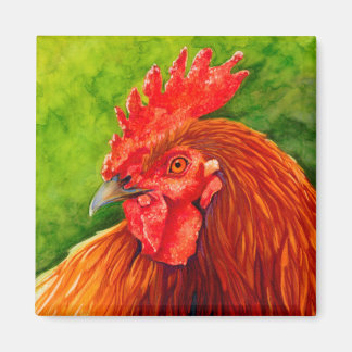 Imã Vermelho Grande - Rooster Magneted R