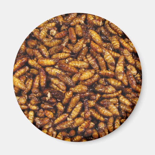 Imã Vermes de Seda Secos... Comida da Rua Tailandesa (Frente)