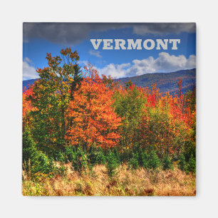 Imã Vermont Viagem Magnet mostrando as mudanças de co