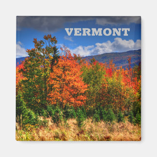 Imã Vermont Viagem Magnet mostrando as mudanças de cor