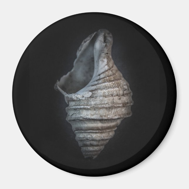 Imã Versão de cor dos reservatórios n.o 6 (Frente)