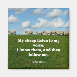 Imã Verso Bíblia, John 10:27, minhas ovelhas...