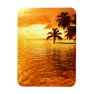 Ímã vertical do por do sol horizontal da palmeir