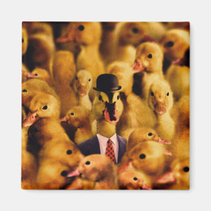 Imã Vestido para o pato do sucesso