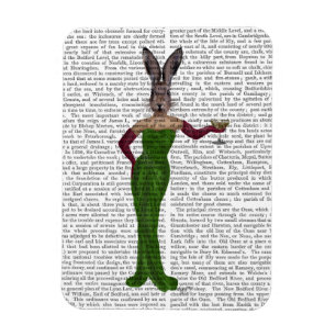 Ímã Vestido Verde do Coelho