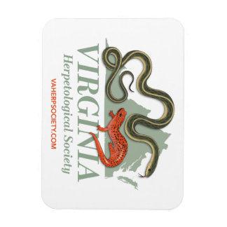 Ímã VHS Logo Magnet