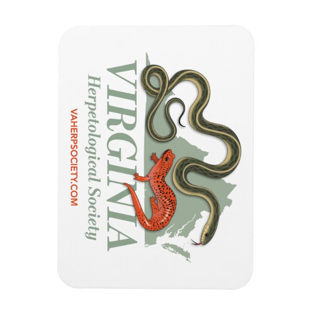 Ímã VHS Logo Magnet (Vertical)