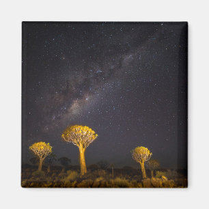 Imã Via Láctea Quiver Tree Keetmanshoop Namíbia