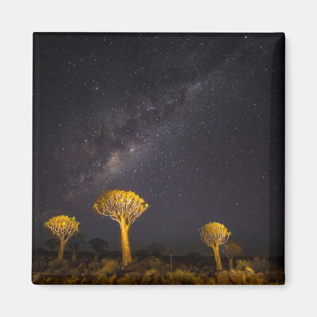 Imã Via Láctea Quiver Tree | Keetmanshoop Namíbia (Frente)