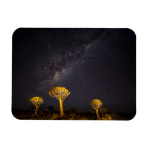 Ímã Via Láctea Quiver Tree Keetmanshoop Namíbia
