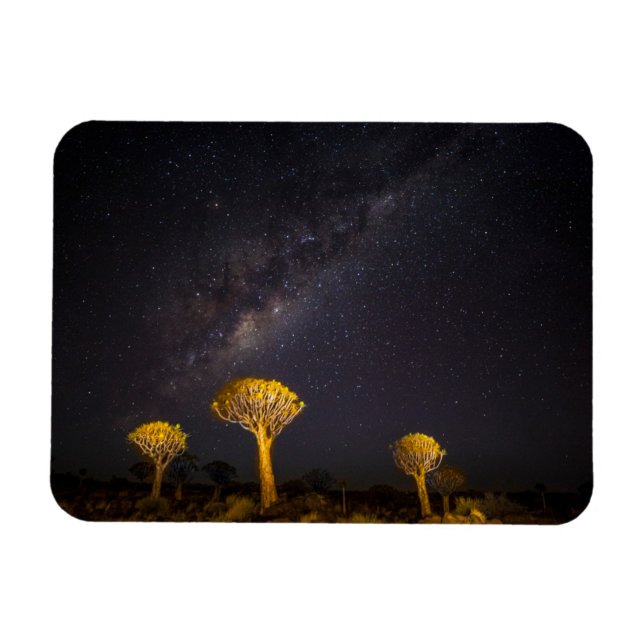 Ímã Via Láctea Quiver Tree | Keetmanshoop Namíbia (Horizontal)