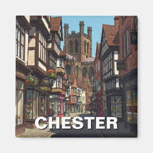 Imã Viagem da Catedral Chester England