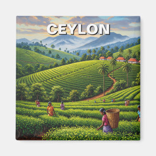 Imã Viagem do Ceilão no Sri Lanka