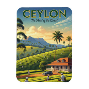 Ímã Viagem do Ceilão no Sri Lanka