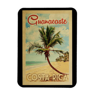 Ímã Viagens vintage de Árvore de Palma de Guanacaste
