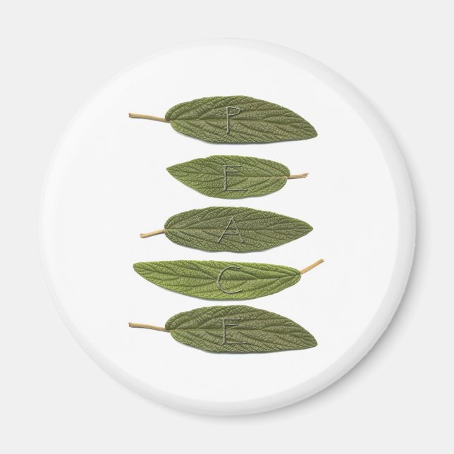 Imã VIBIRNUM Sai da PAZ (Frente)