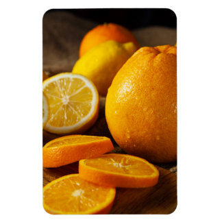 Ímã Vibrant Citrus Fruits Refrigerator Magnet