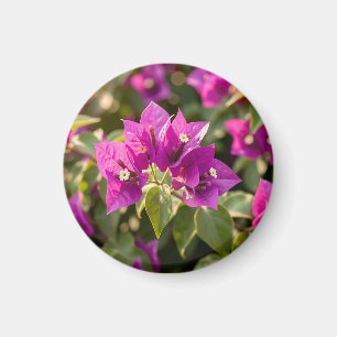 Imã Vibrante Flor de Bougainvillea Roxa Magenta