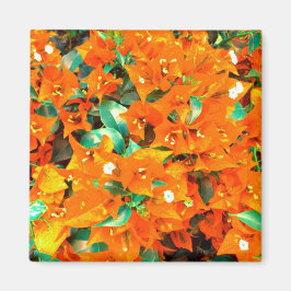 Imã Vibrantes Flores de Bougainvillea Laranja
